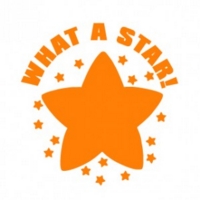 Motivational Reward What a Star! Stamp