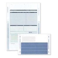 Sage Comp Pay Advice with Mailer Pack of 500