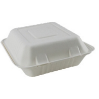 Bagasse Pulp 7" x 5" Food Container Box Pack of 50
