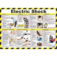 Electric Shock 590mm x 420mm PVC Poster