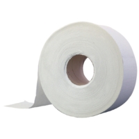 Jumbo Toilet Roll 60mm Core 300M Pack of 6