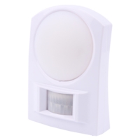 Wall Light with Motion Detector Battery Powered