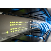 Cat 6 Network 2m Cable