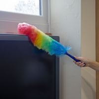 Flick Synthetic Feather Duster