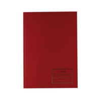 Cathedral A4 Analysis Cash 10 Column 96 Page Book 69.10