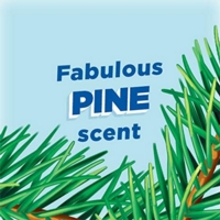 Toilet Duck 5-in-1 Deep Action Cleaner Pine 750ml Bottle