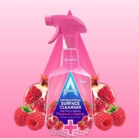 Astonish Surface 750ml Spray Anti-Bacterial Cleaner