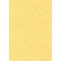 Gold A4 Parchment 95gsm Paper Pack of 100