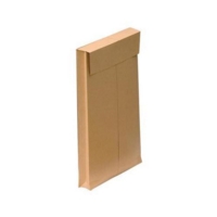 New Guardian C4 1" Gusset Plain Envelopes Box of 100