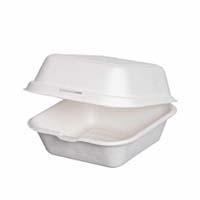 Bagasse Pulp 6  Burger Box Food Container Pack of 50