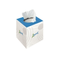 Facial Tissues Cube Dispenser Box Outer of 24 boxes