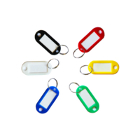 Small Sliding Key Tags Fobs Assorted Colours Pack of 100
