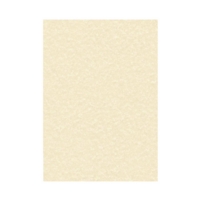 Champagne A4 Parchment 95gsm Paper Pack of 100 Sheets