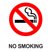 No Smoking A4  Window Sticker