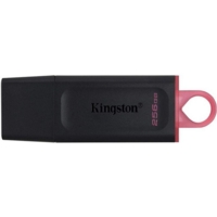 Kingston DataTraveler 256GB USB Flash Drive DTX