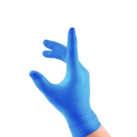 Vinyl Glove Blue Powder Free Small Box of 100