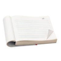 Ruled Duplicate105mm x 130mm Invoice Book SINGLE