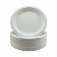 Bagasse 9  Round White Plates Pack of 50