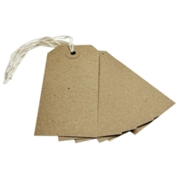 Buff Strung Tag MS3 96mm x 48mm Box of 1000